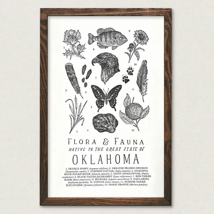 Hand-Illustrated Oklahoma Field Guide Art Print - 11x17