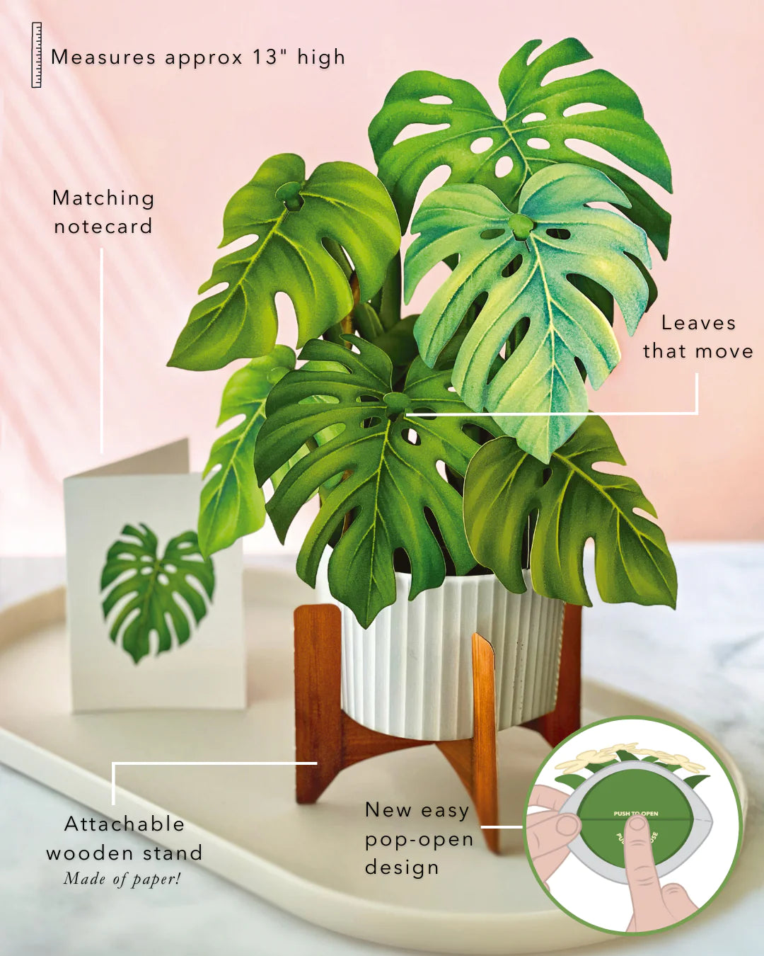 Monstera 3D Pop Up Bouquet