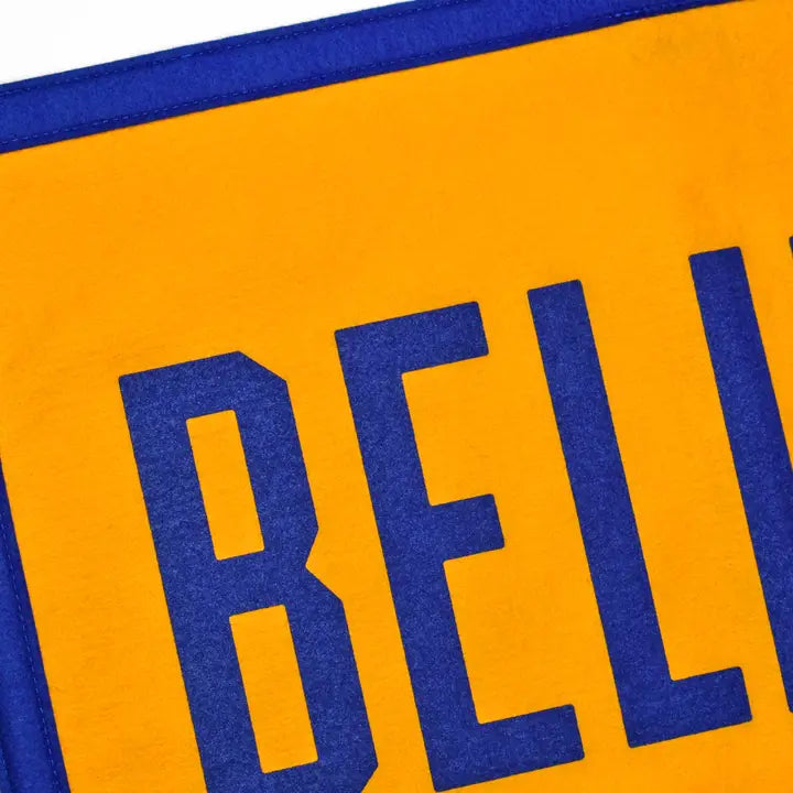 Believe Camp Flag