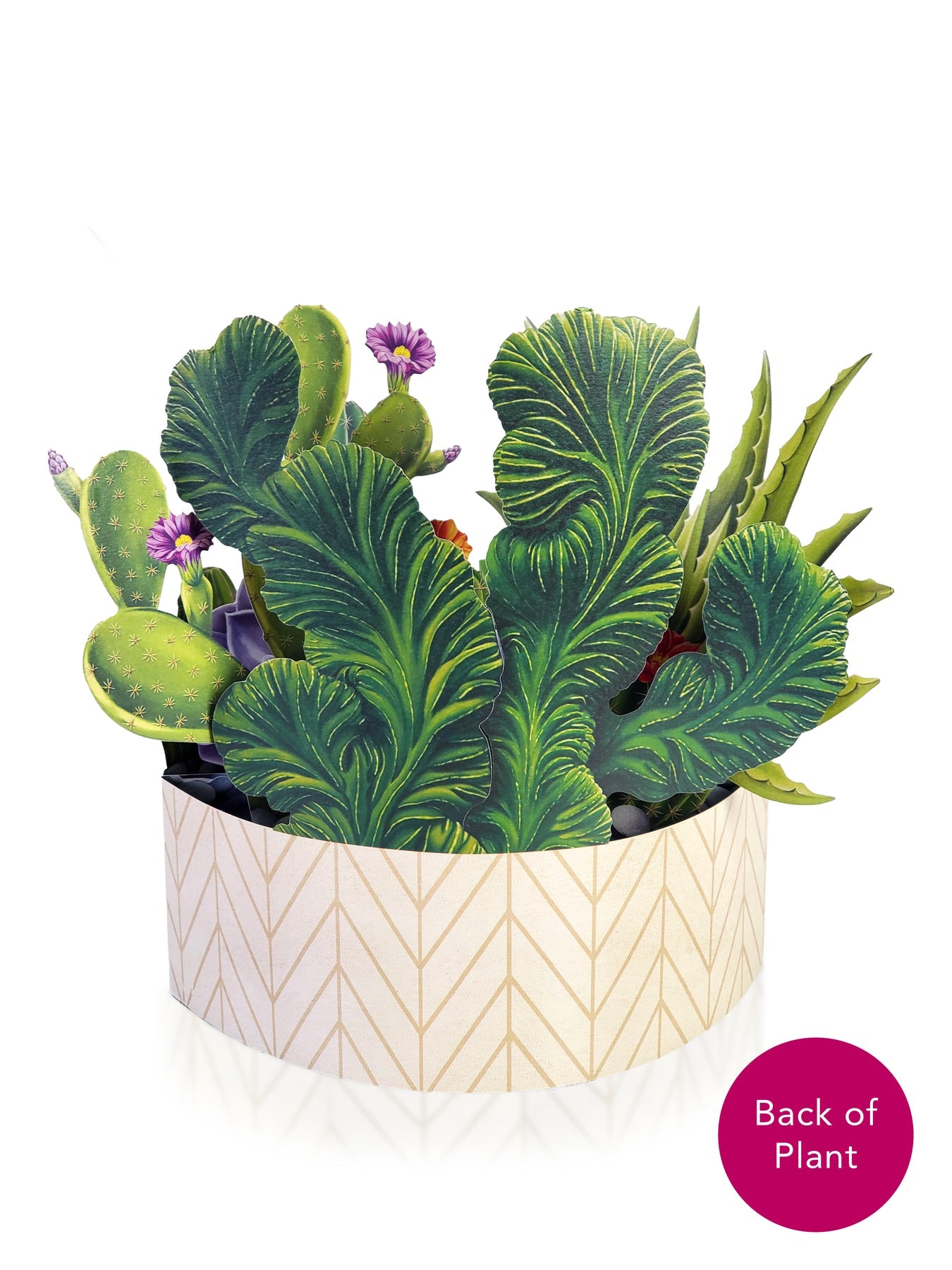 Cactus Garden 3D Pop Up Bouquet