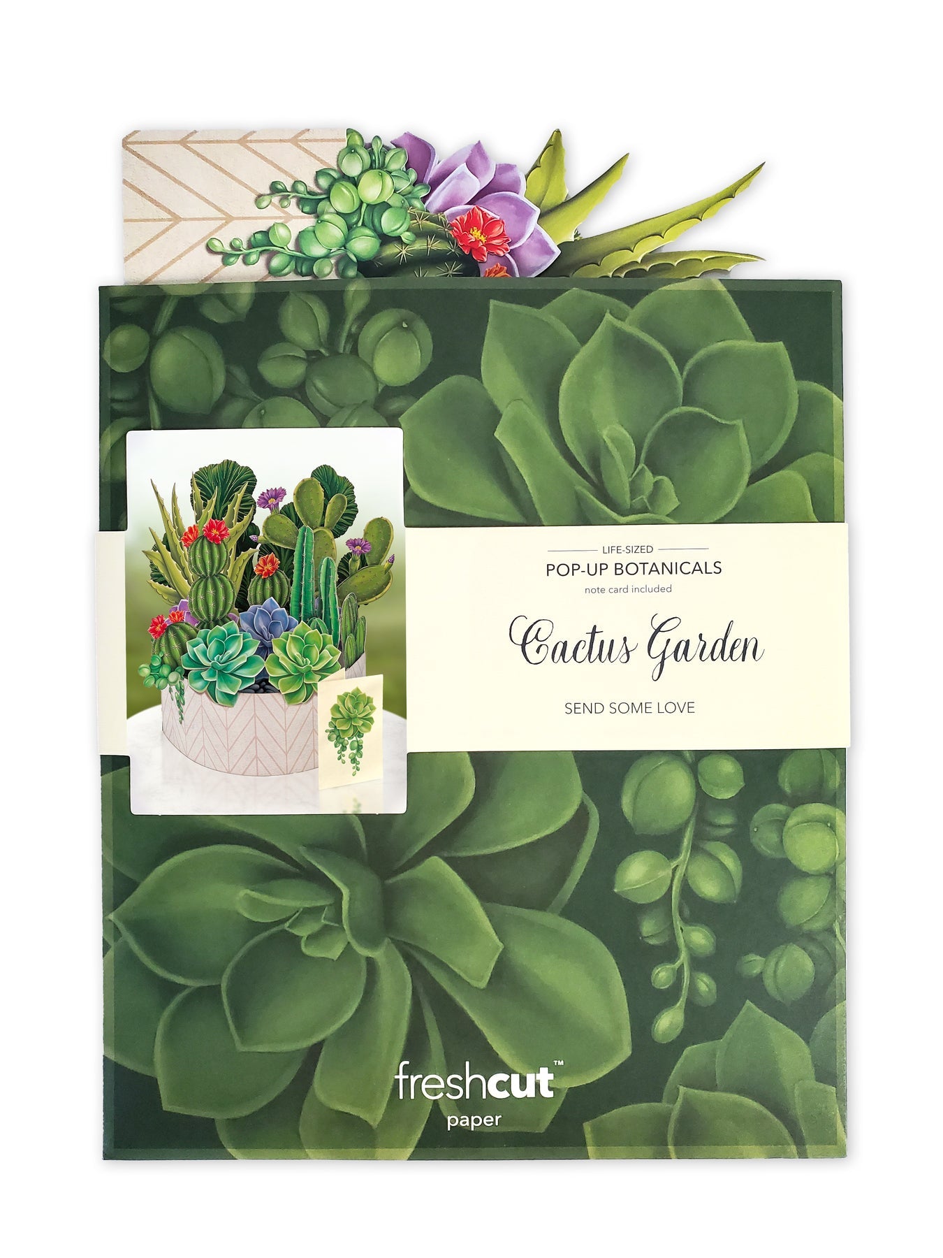 Cactus Garden 3D Pop Up Bouquet