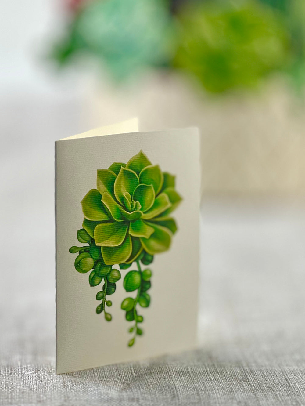 Cactus Garden 3D Pop Up Bouquet