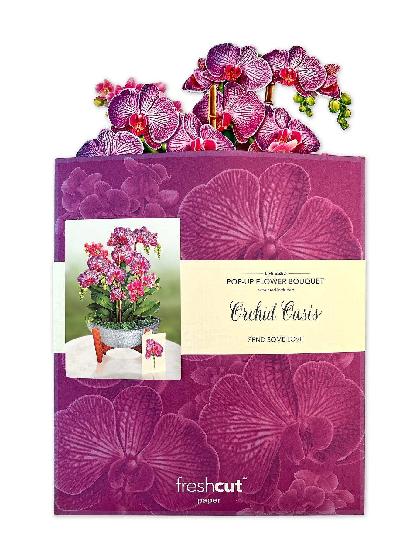 Orchid Oasis 3D Pop Up Bouquet