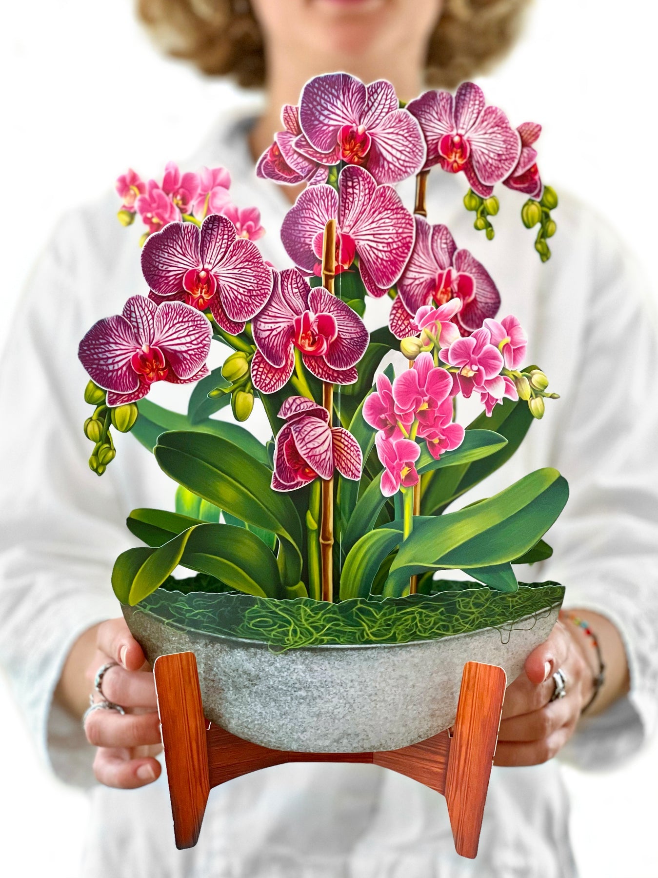 Orchid Oasis 3D Pop Up Bouquet