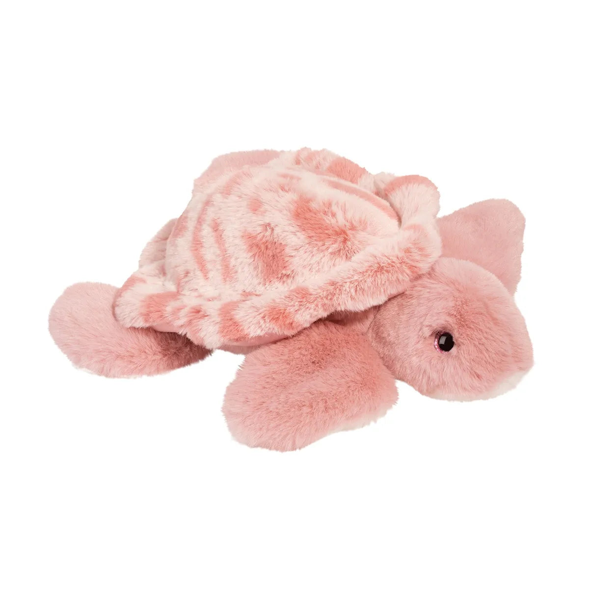 Cordelia Turtle