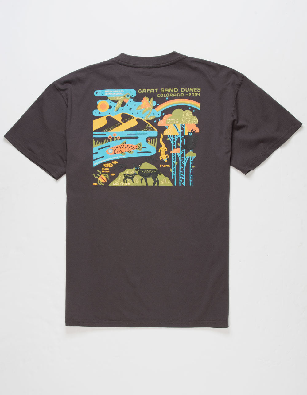 Great Sand Dunes 2004 Tee - Graphite