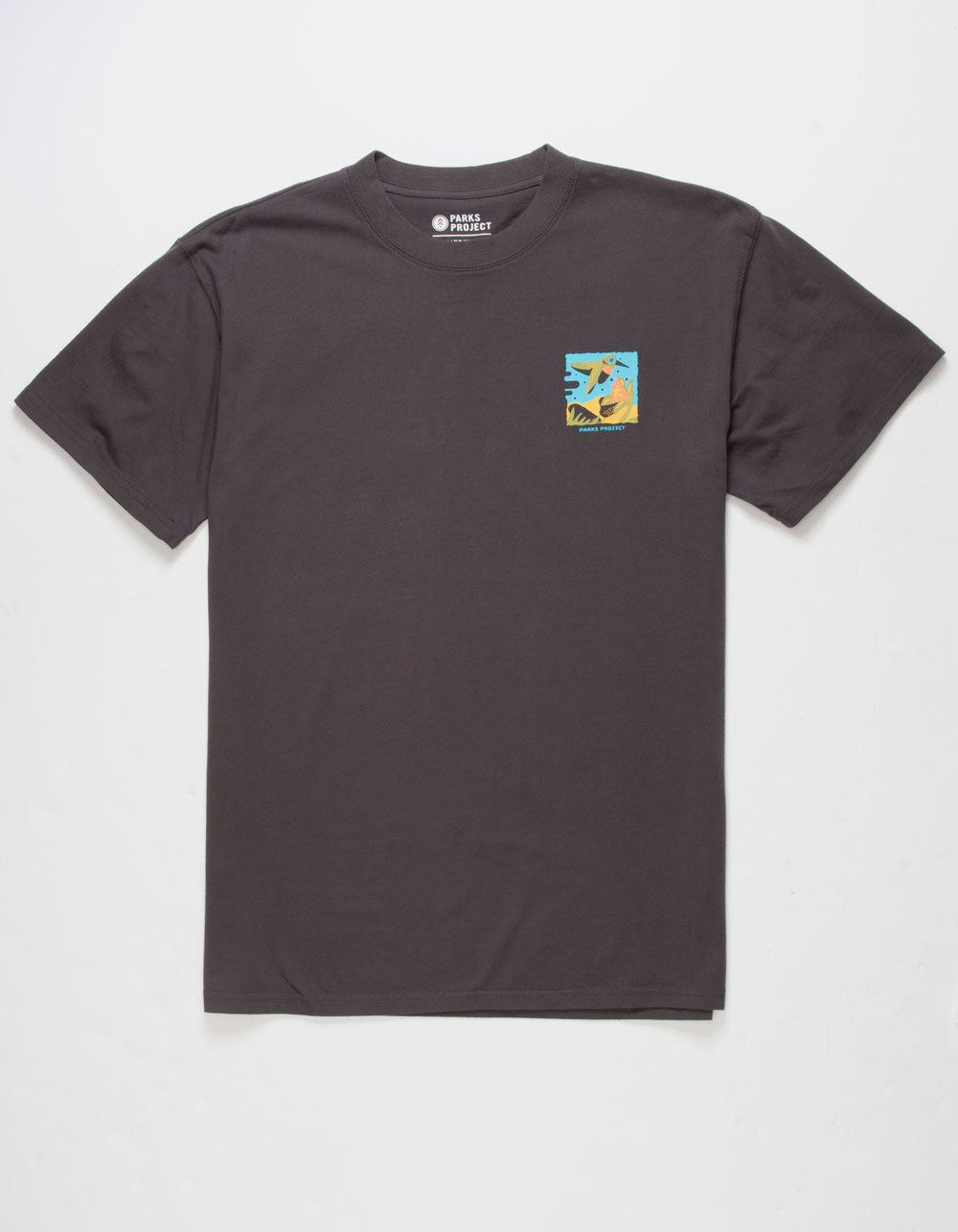 Great Sand Dunes 2004 Tee - Graphite