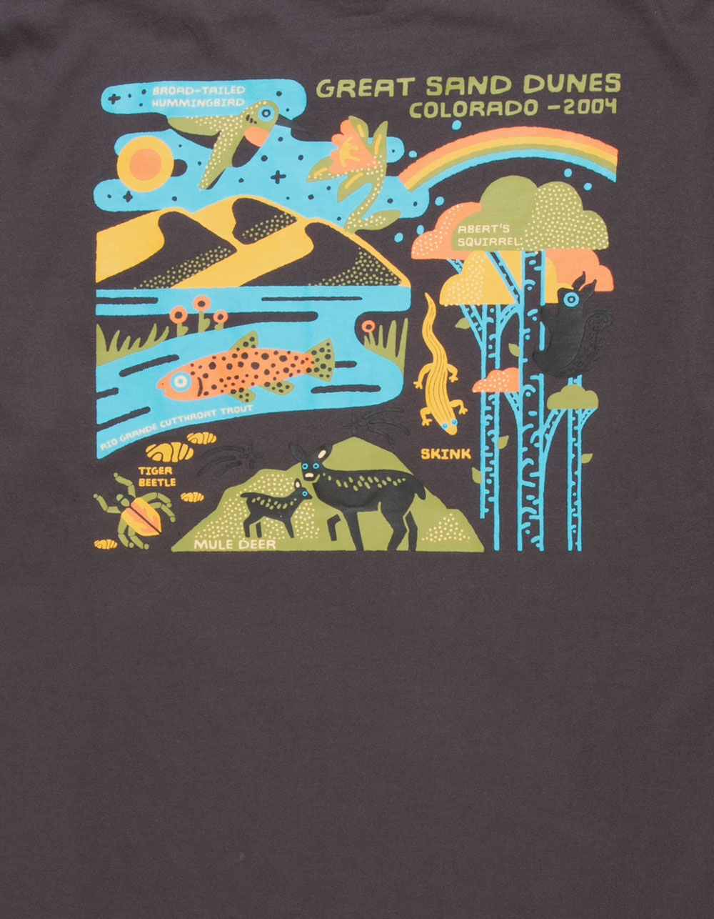 Great Sand Dunes 2004 Tee - Graphite