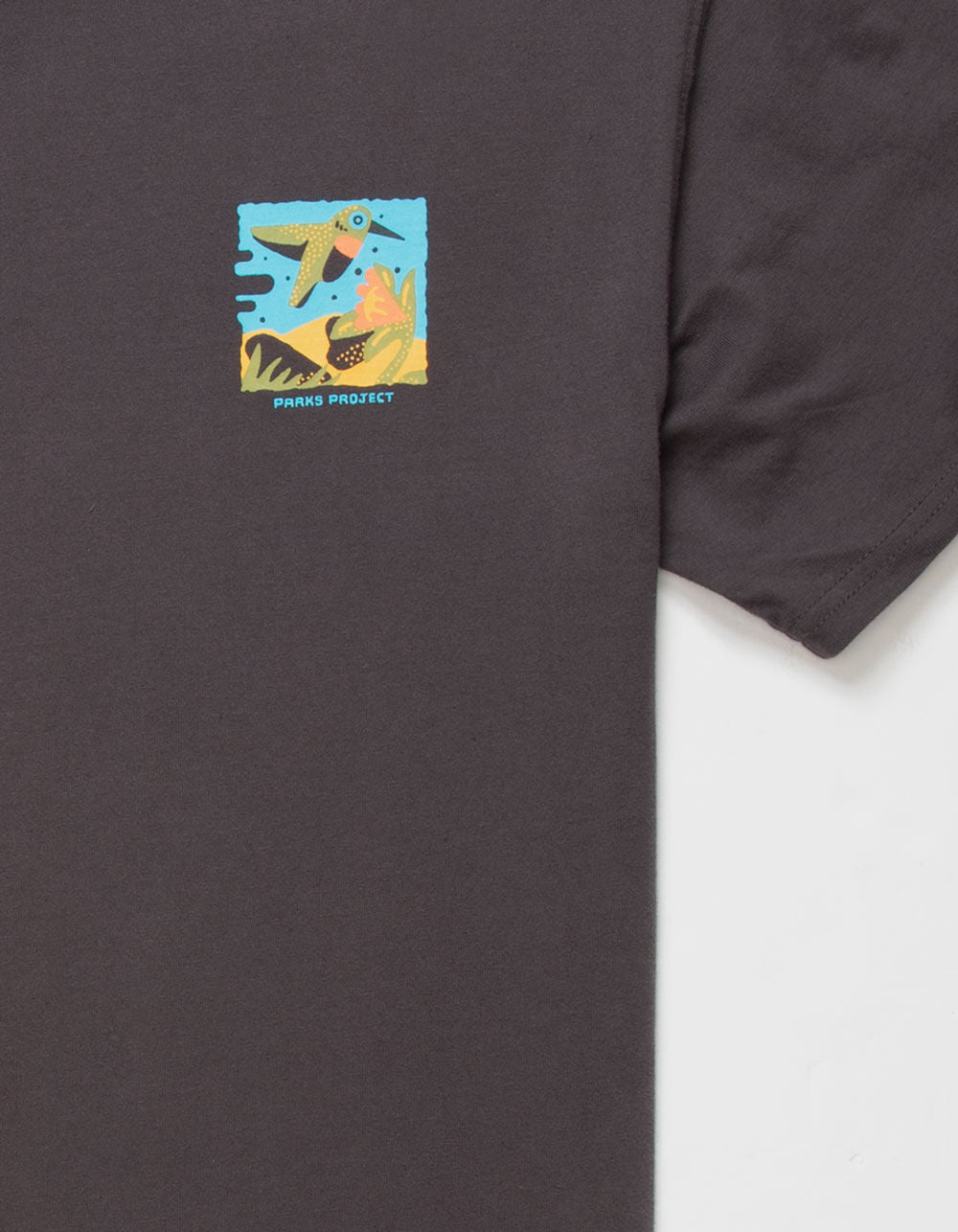 Great Sand Dunes 2004 Tee - Graphite