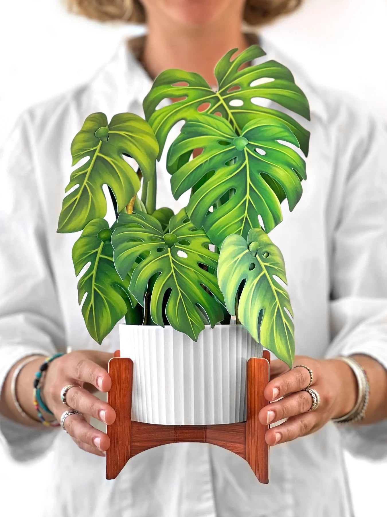 Monstera 3D Pop Up Bouquet