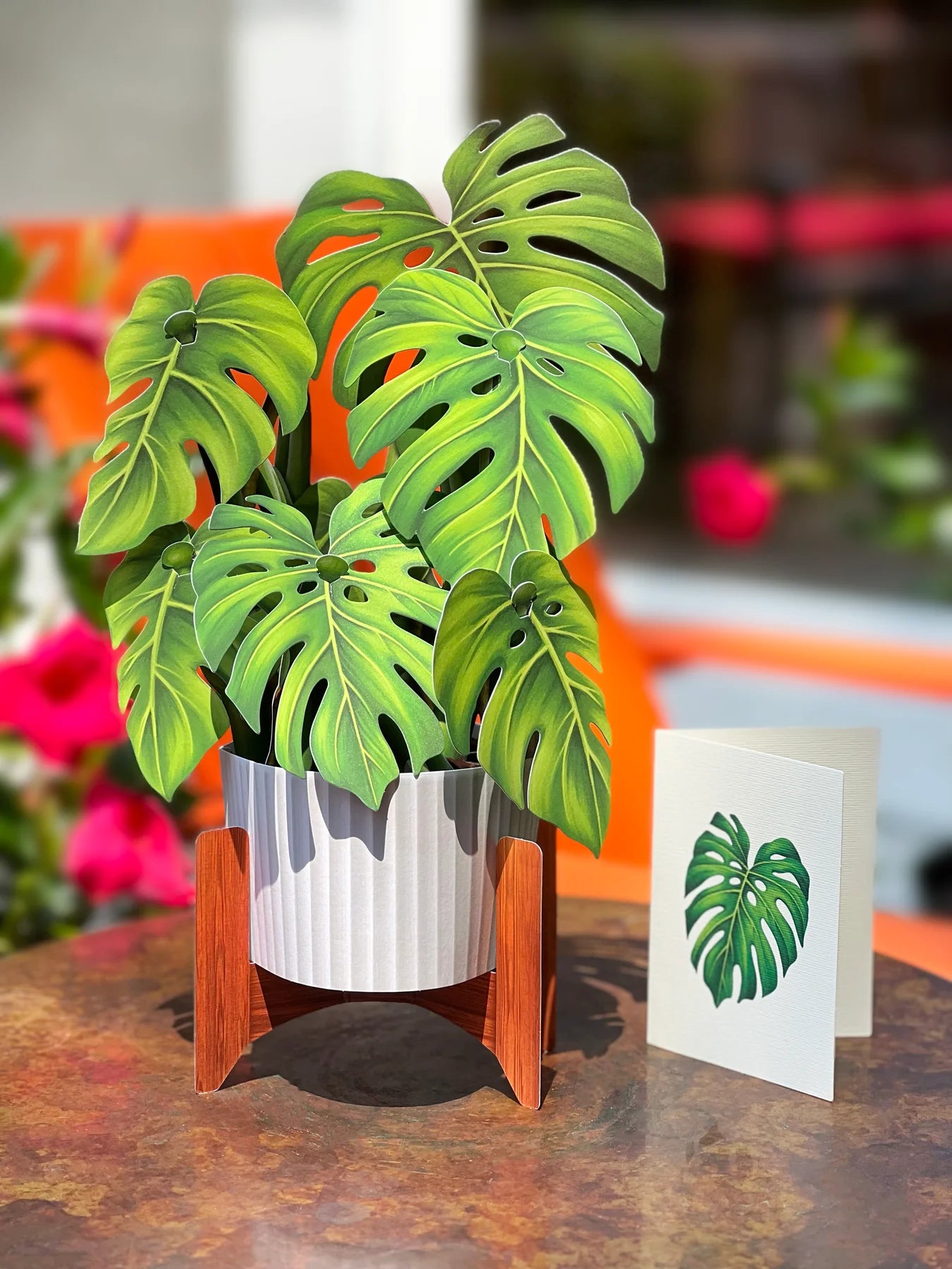 Monstera 3D Pop Up Bouquet