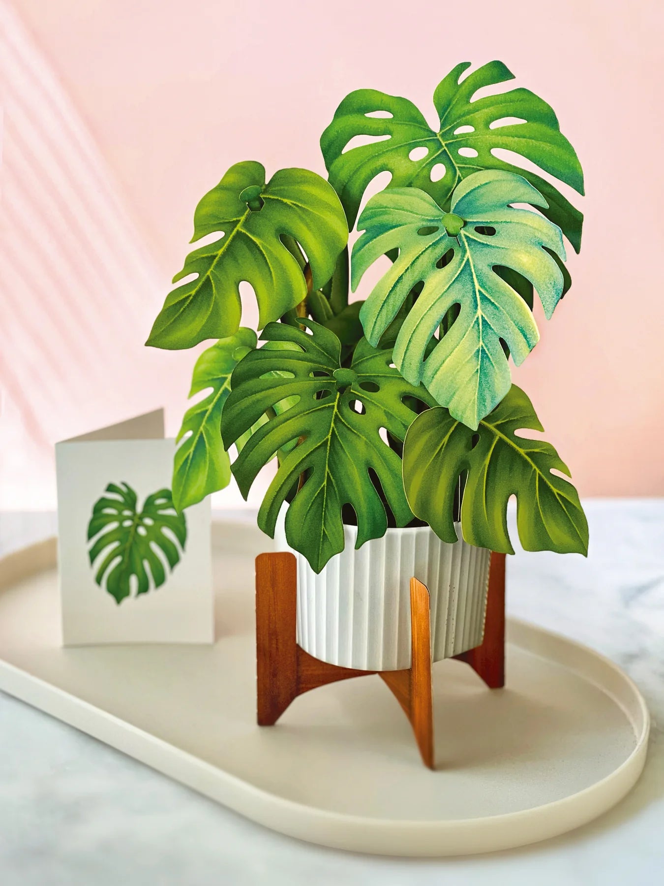 Monstera 3D Pop Up Bouquet