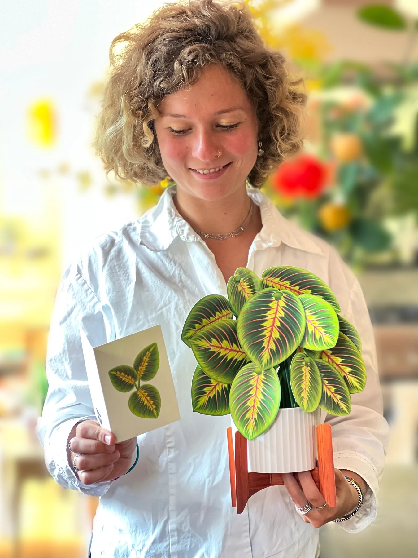 Prayer Plant 3D Pop Up Bouquet