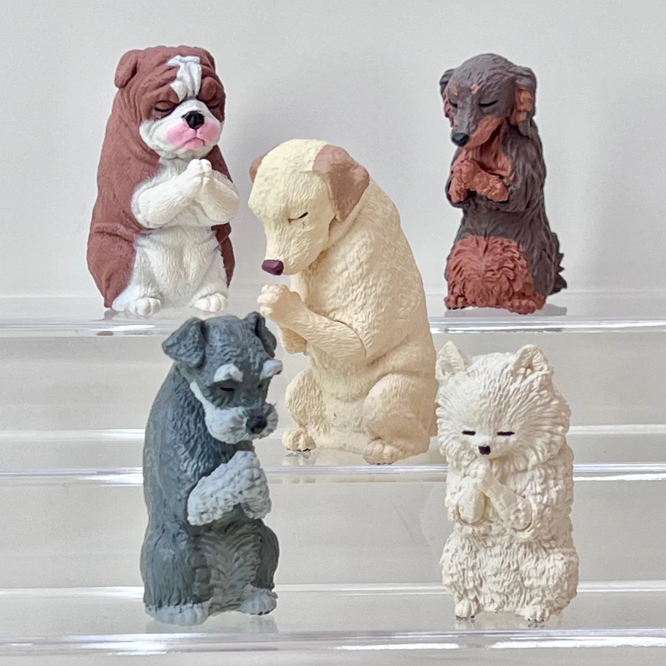 Wishing Dogs Vol 2 Blind Box