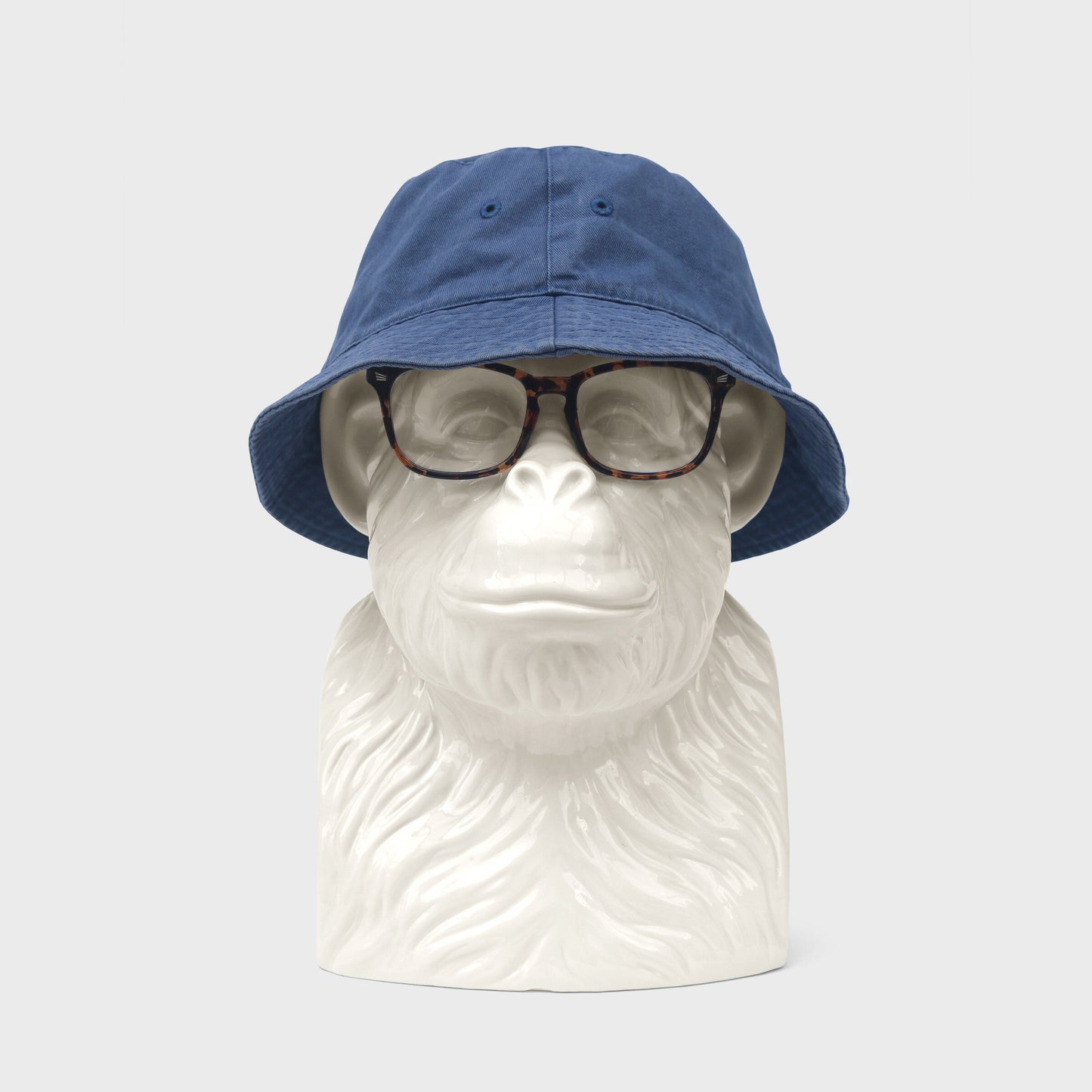 Chimp Tidy