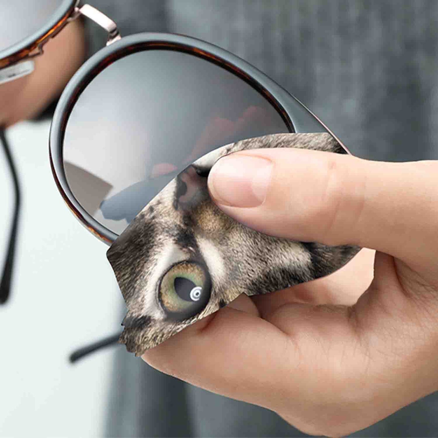 Cat Lens Cleaning Cloth
