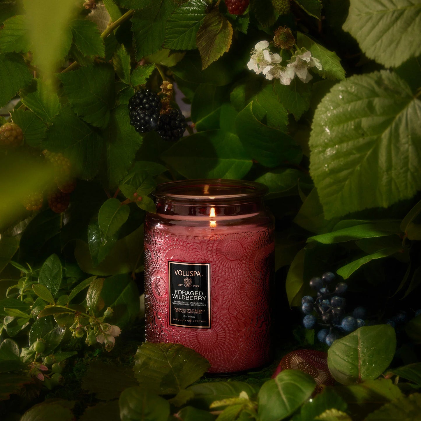 Large Embossed Glass Candle - Foraged Wildberry