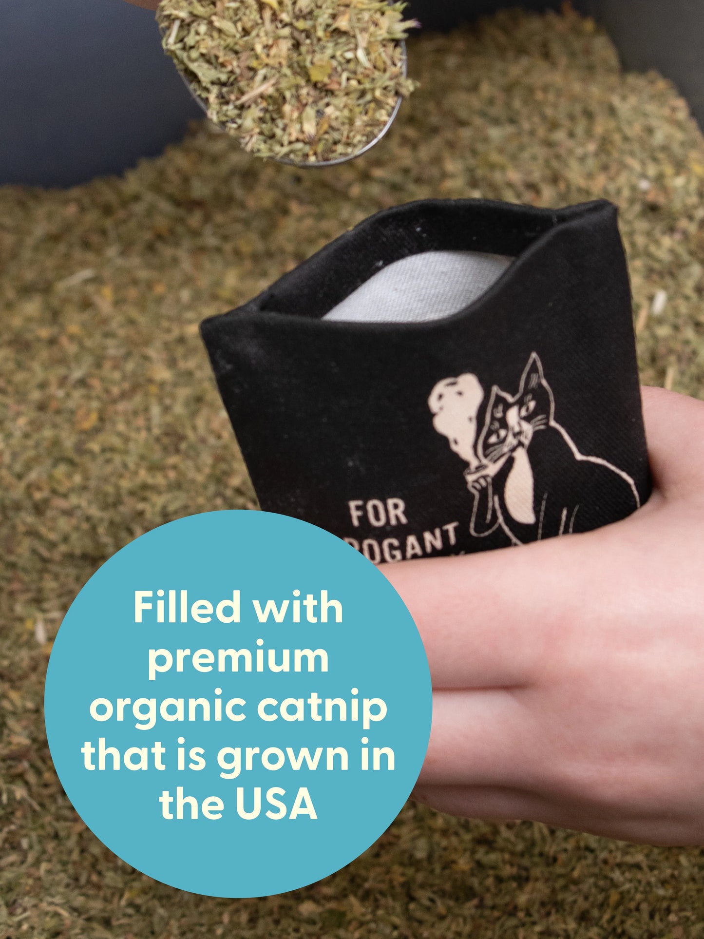 Pompous Ass Catnip Toy