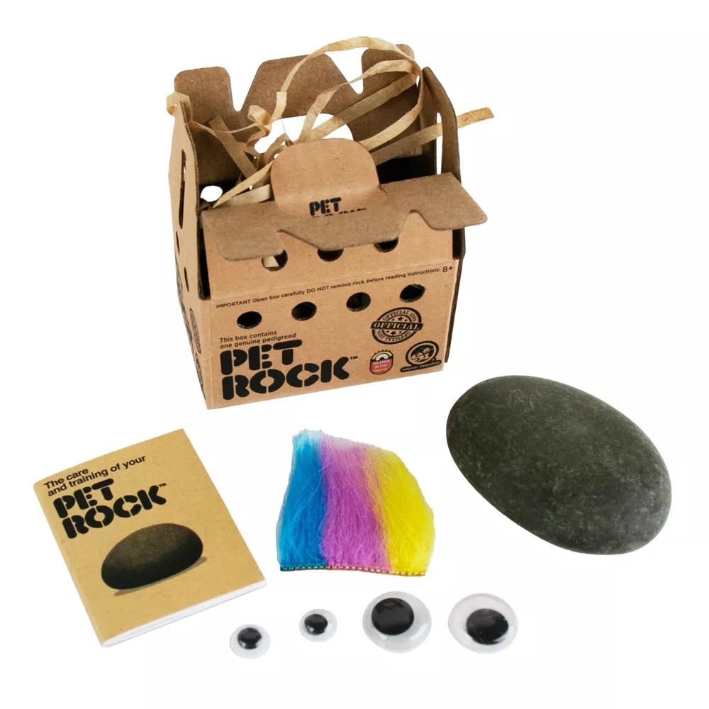 World's Smallest Pet Rock