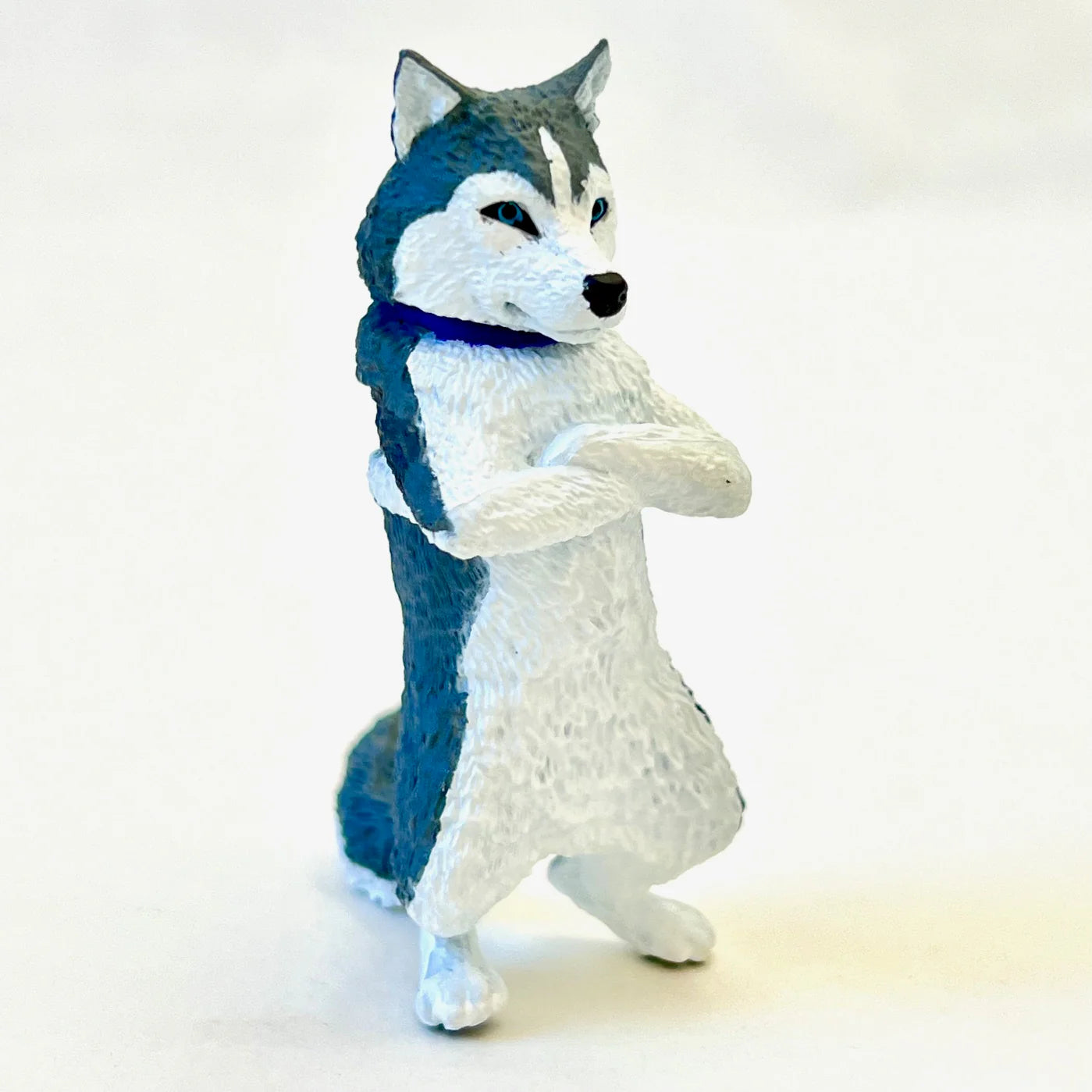Cool Dog Blind Box
