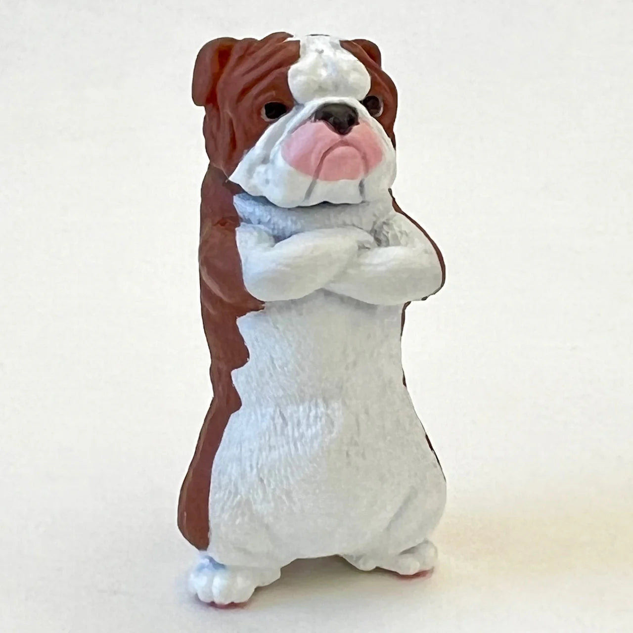 Cool Dog Blind Box