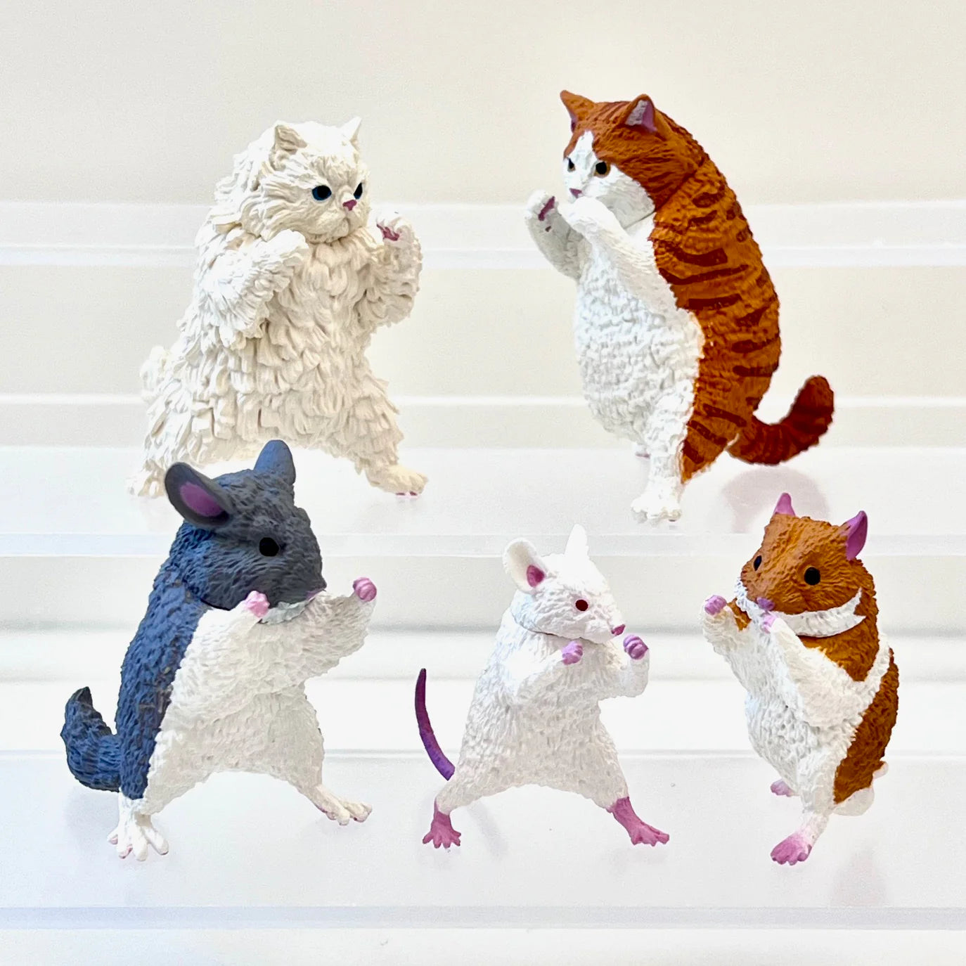 Kung Fu Animals Blind Box