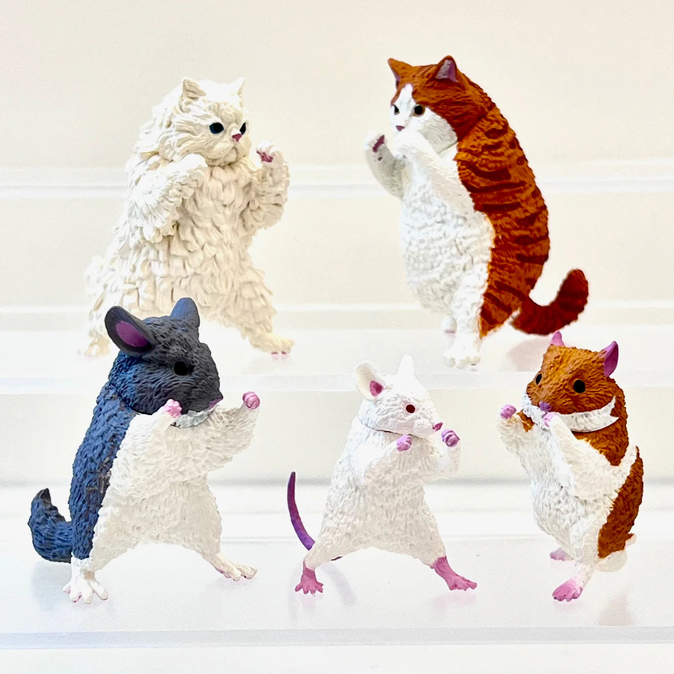 Kung Fu Animals Blind Box