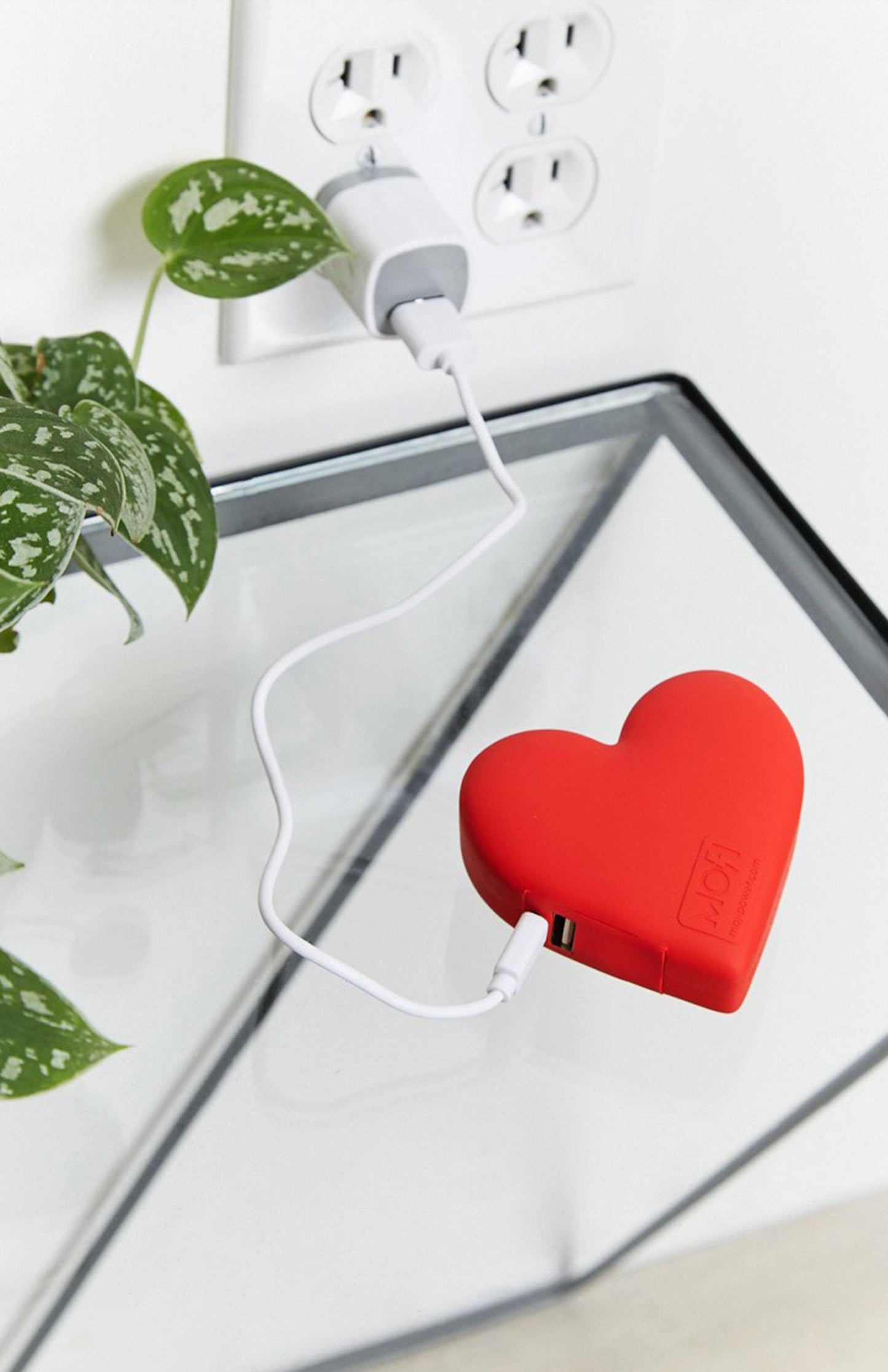 Heart Power Bank