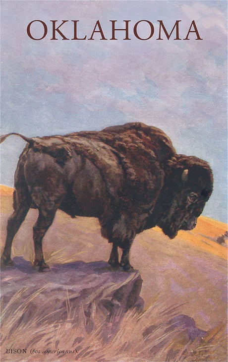 Buffalo Magnet