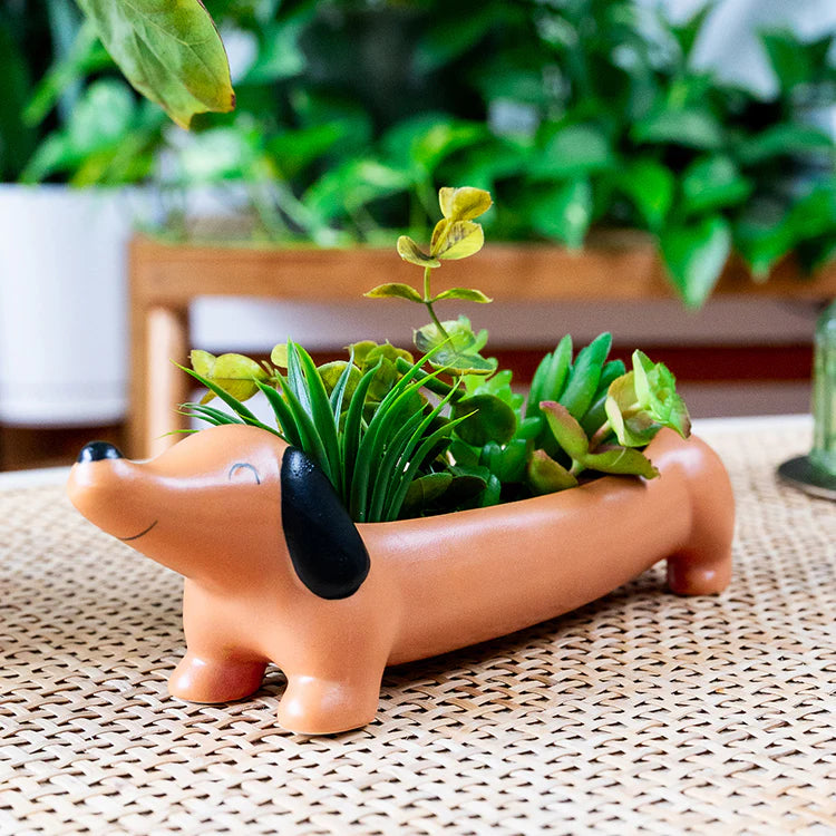Daisy the Dachshund Planter
