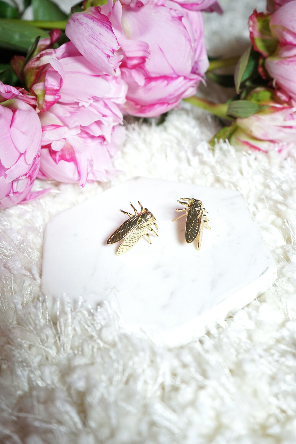 Cicada Studs