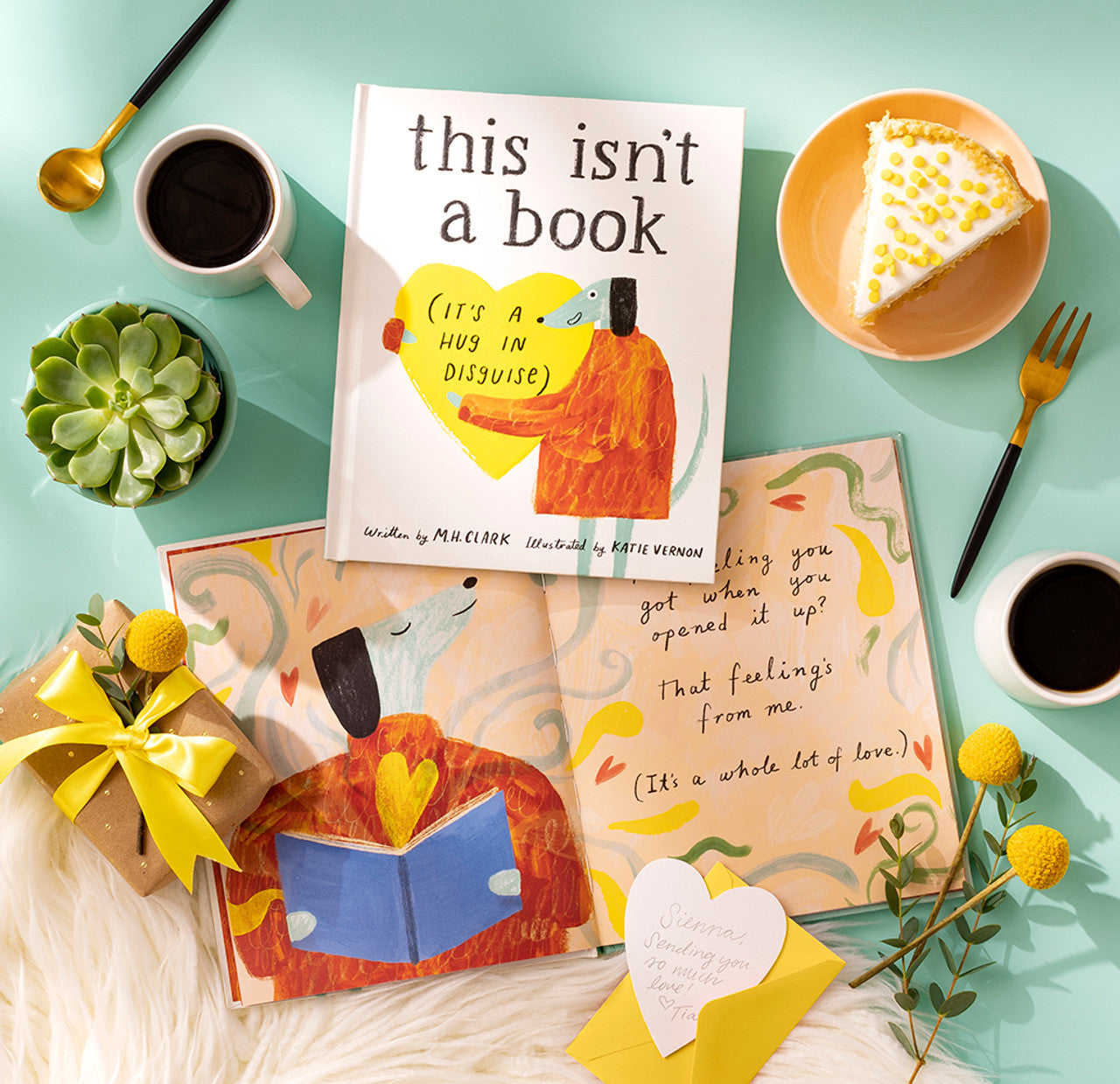 This Isn't A Book (it's a hug in disguise)