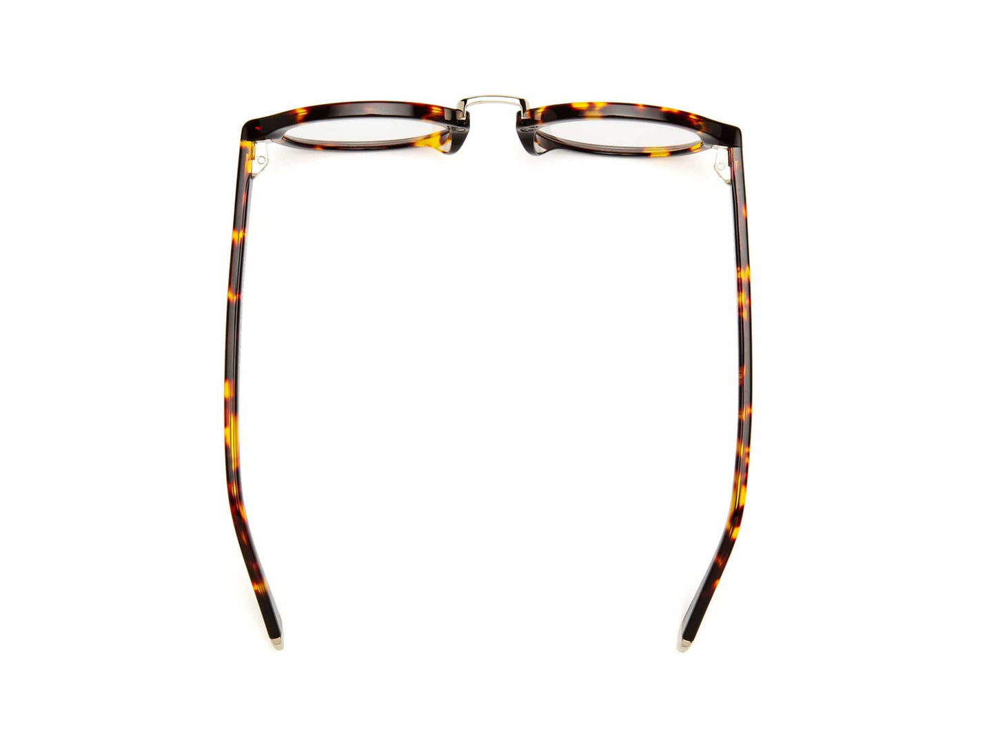 Gramophone Reading Glasses - Turtle