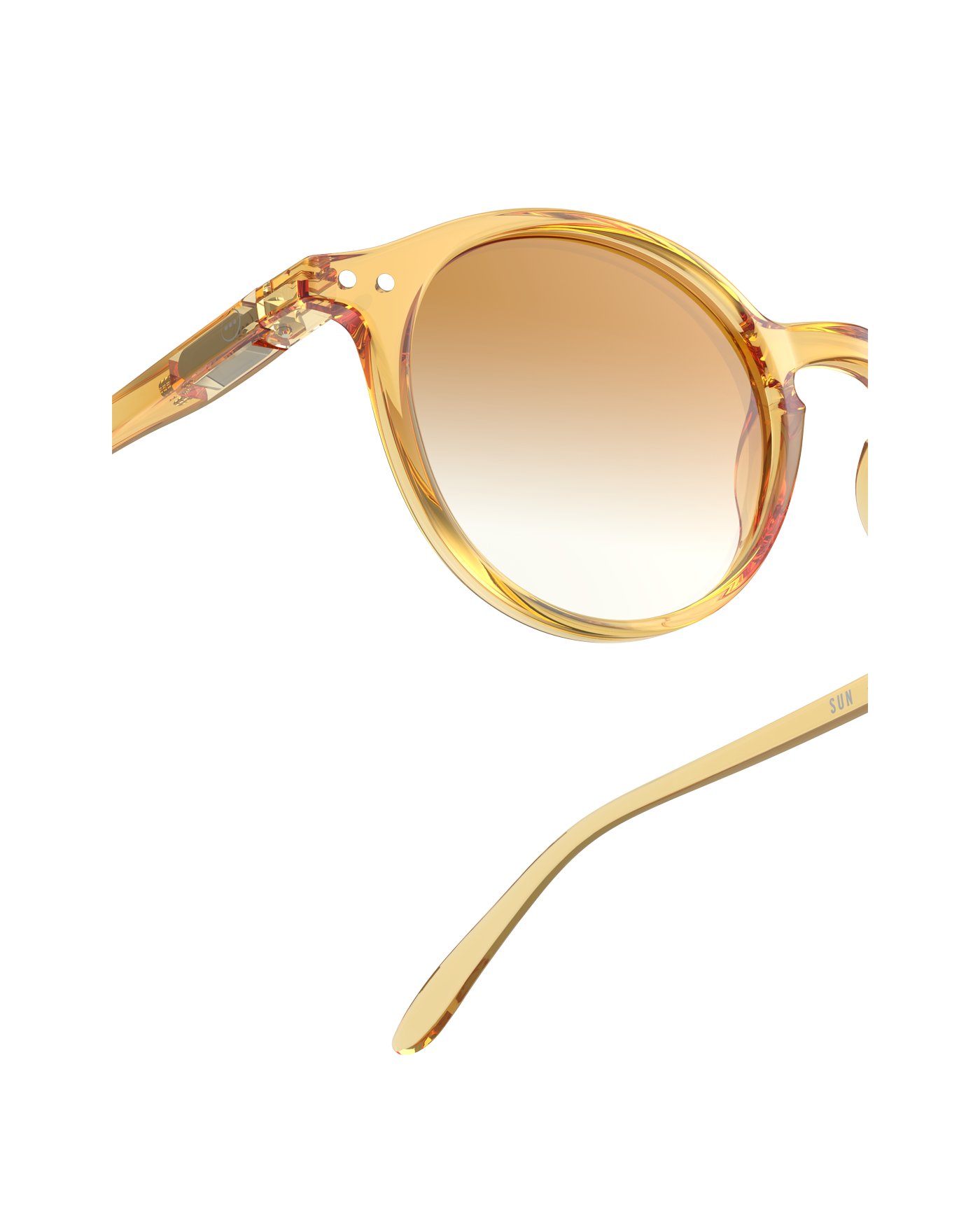 #D Golden Canyon Polarized