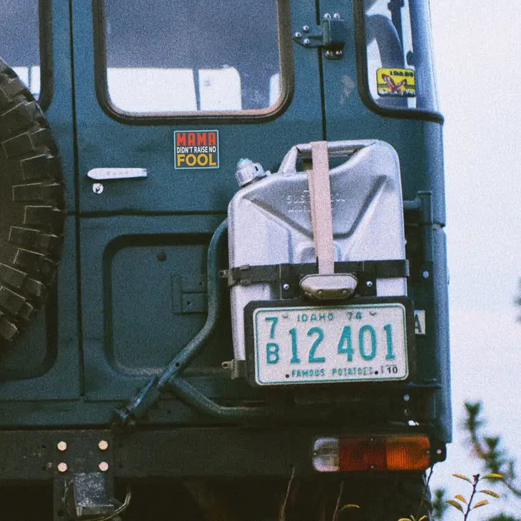 Mama Didn't Raise No Fool Sticker