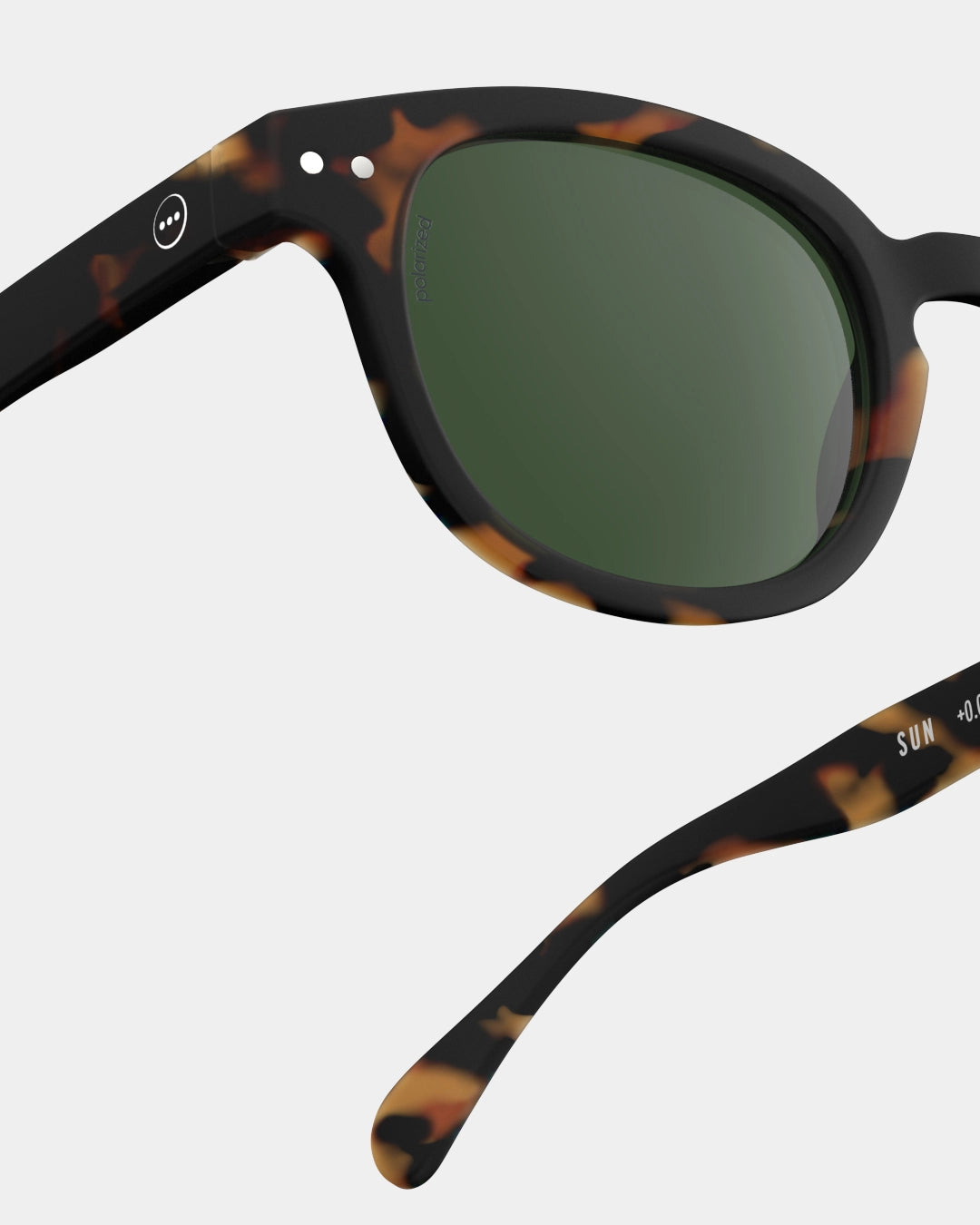 #C Tortoise Polarized