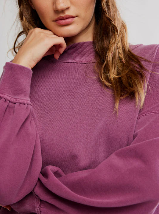 Palm Springs Turtle Pullover