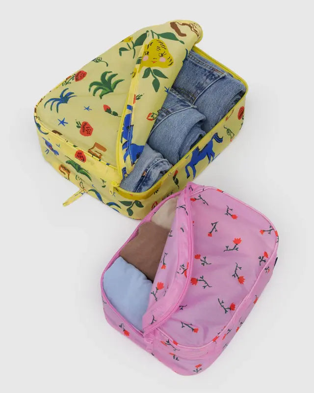 Packing Cube Set - Painted Prairie