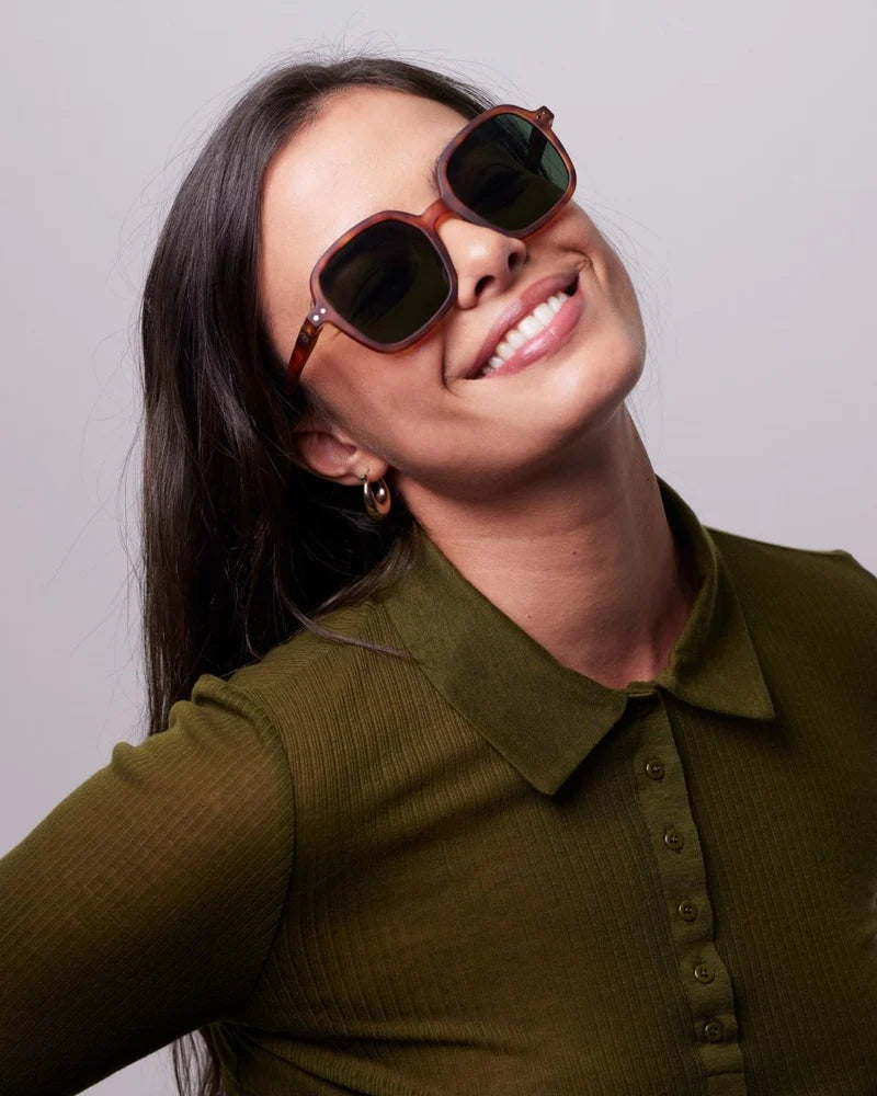 Office Shape Sunglasses - Havane