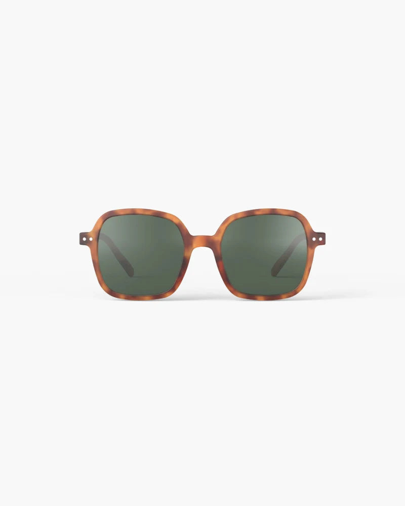 Office Shape Sunglasses - Havane