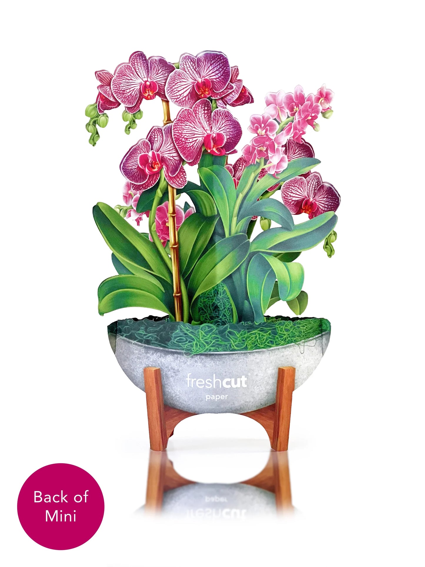 Mini Orchid Oasis Pop Up Card