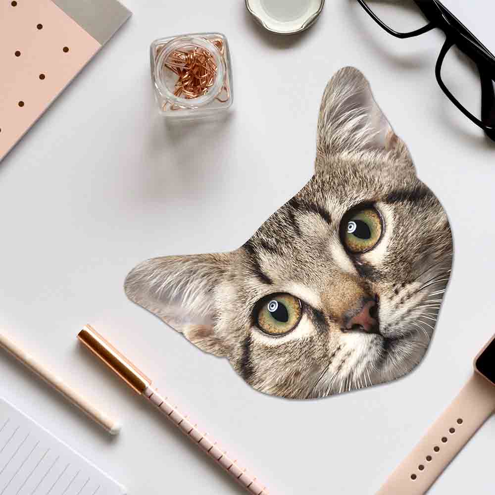 Cat Lens Cleaning Cloth