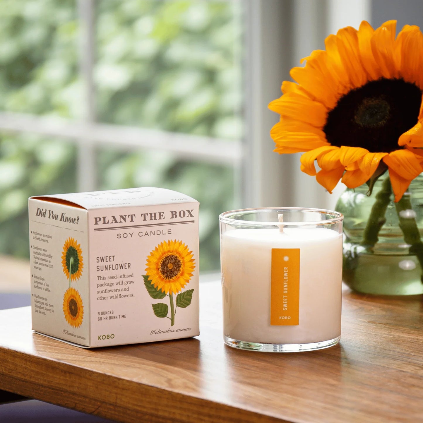 Plant The Box Candle - Sweet Sunflower