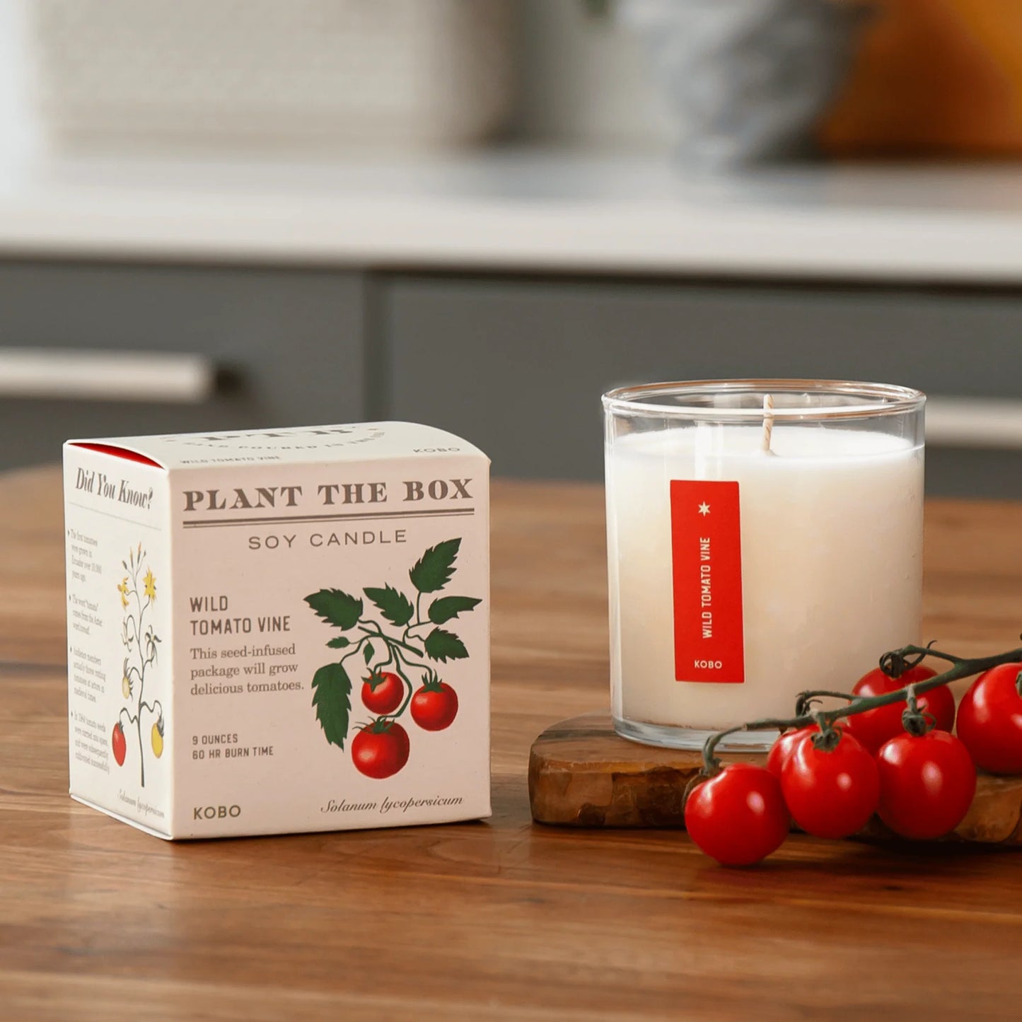 Plant The Box Candle - Wild Tomato Vine