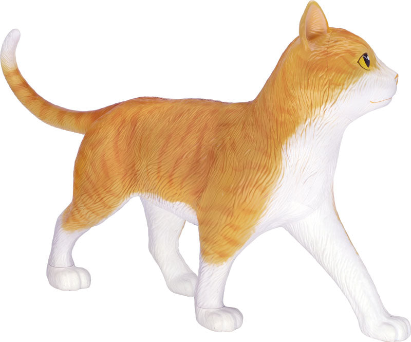 4D Cat Anatomy