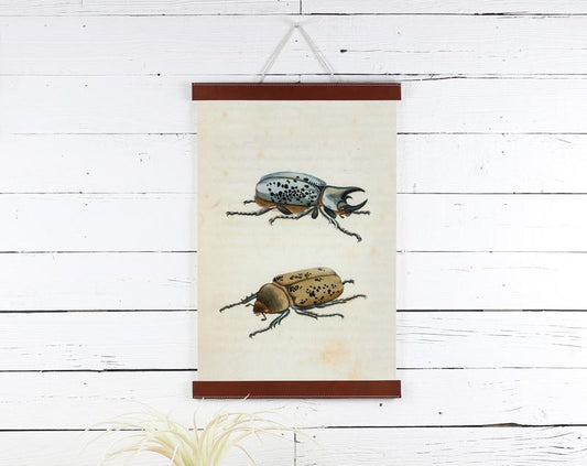 Beetles Print 12x18