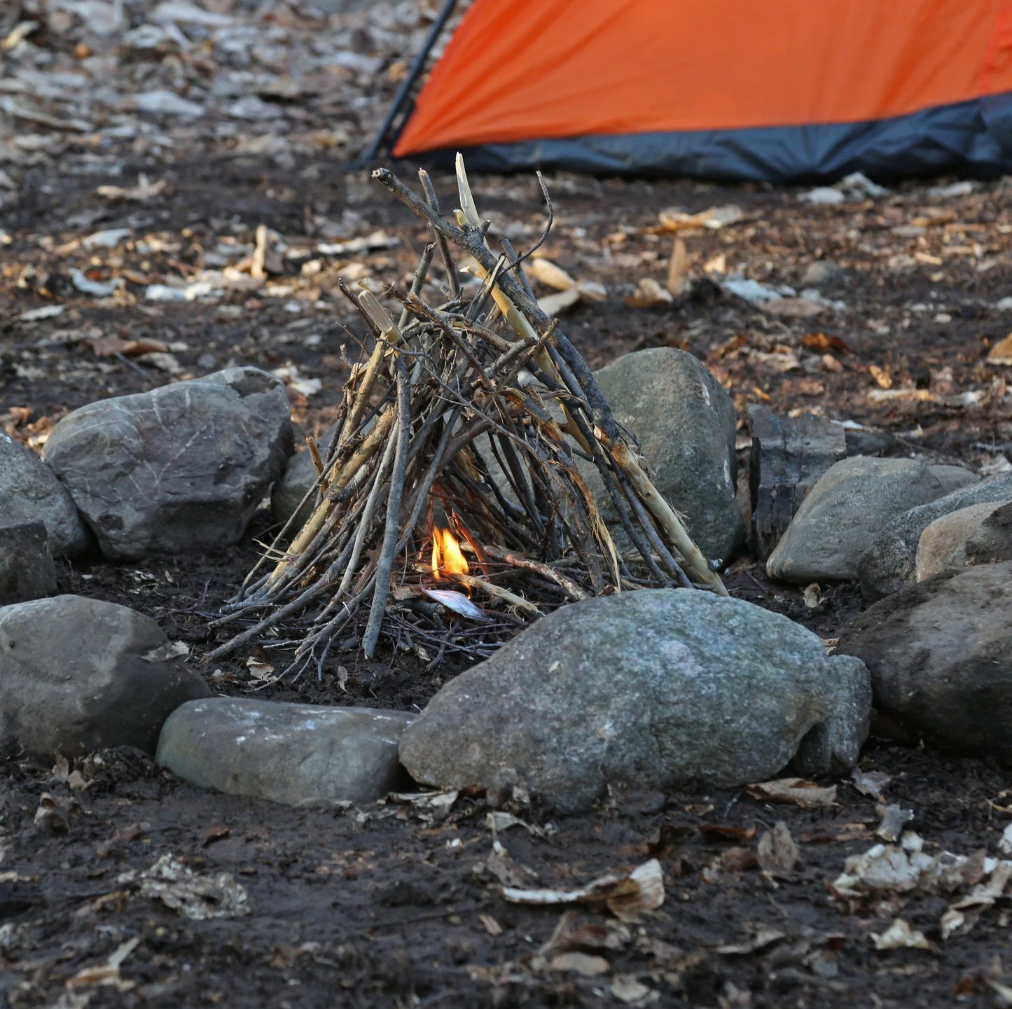 Quick Survive Fire Starter 50 Pack