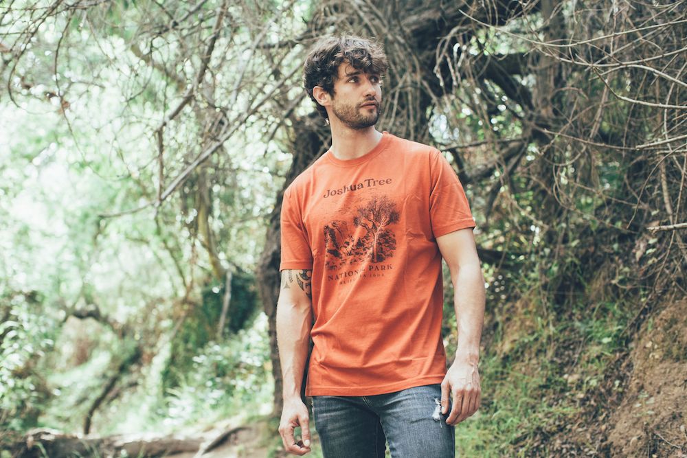 Brass Tacks 2 - Joshua Tree