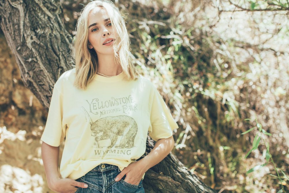 Brass Tacks - Yellowstone National Park