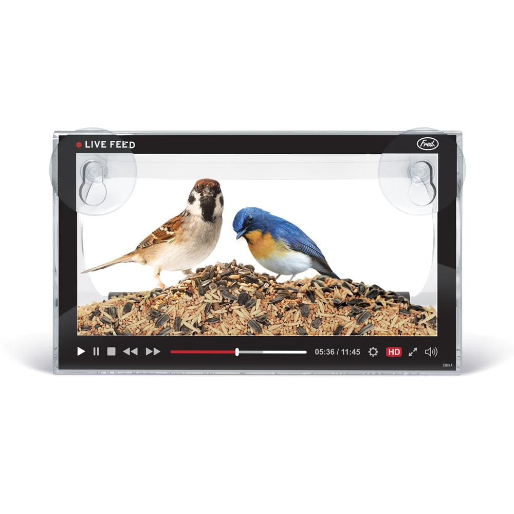 Live Feed Bird Feeder